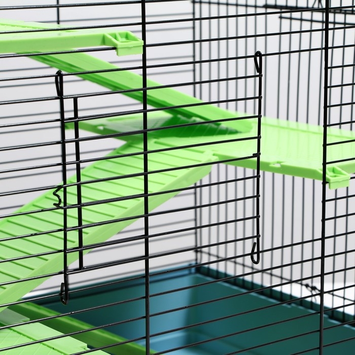 Клетка для грызунов Клетка для грызунов "Сеня 3-Б", 49 x 36 x 51 см, микс цветов