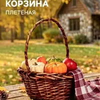 Корзина плетёная для хранения, 27&times;21&times;11 см, ручка h=17 см, лоза, коричневая
