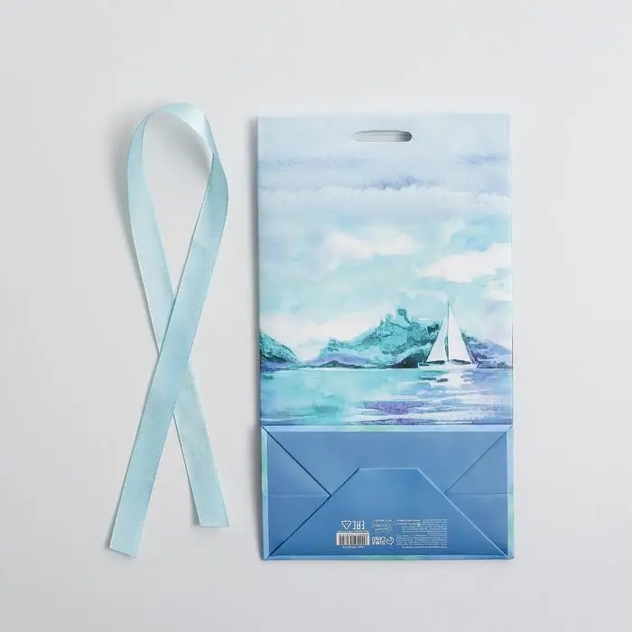 Пакет подарочный с лентой, упаковка, «Present for you», 13 х 23 х 7 см Пакет подарочный с лентой, упаковка, «Present for you», 13 х 23 х 7 см