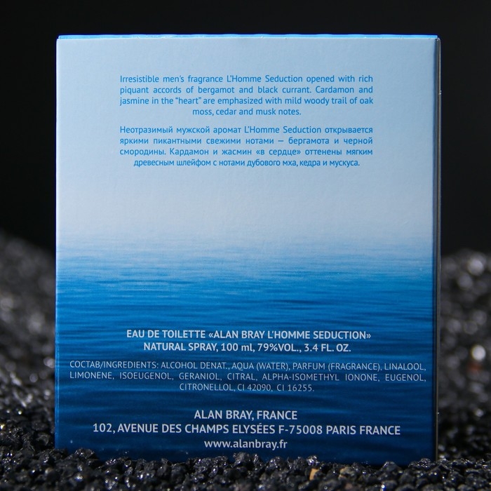 Туалетная вода мужская Alan Bray L'HOMME Seduction, 100 мл Туалетная вода мужская Alan Bray L'HOMME Seduction, 100 мл