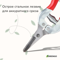 Ножницы садовые, 7" (18 см), с металлическими ручками, обрезиненная ручка, Greengo