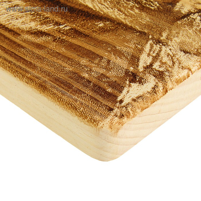 Доска из массива кедра «Бельчонок», прямоугольная, 18 × 28 см Доска из массива кедра «Бельчонок», прямоугольная, 18 × 28 см