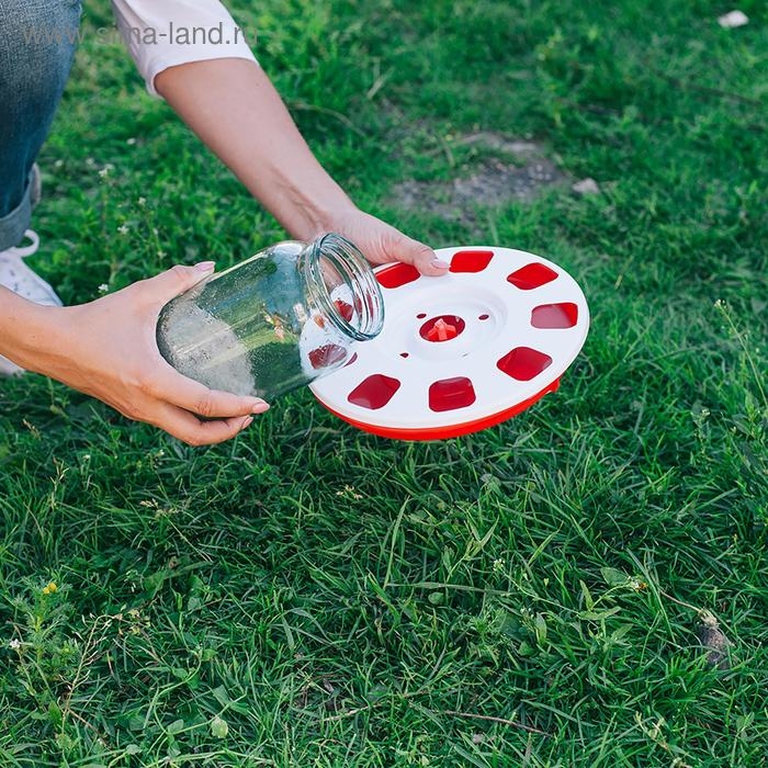 Поилка для домашней птицы, под банку и бутылку, d = 220 мм, МИКС Поилка для домашней птицы, под банку и бутылку, d = 220 мм, МИКС