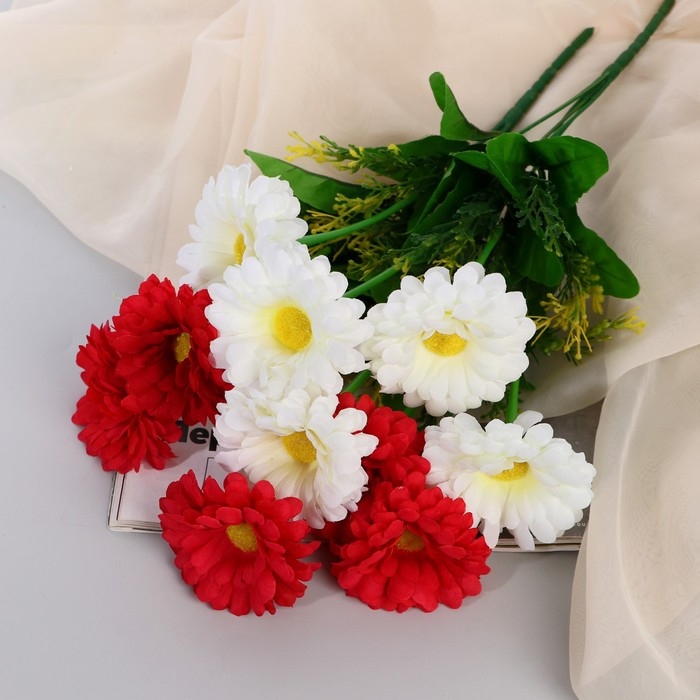 Букет Букет "Цинния открытая" 6х34 см, микс