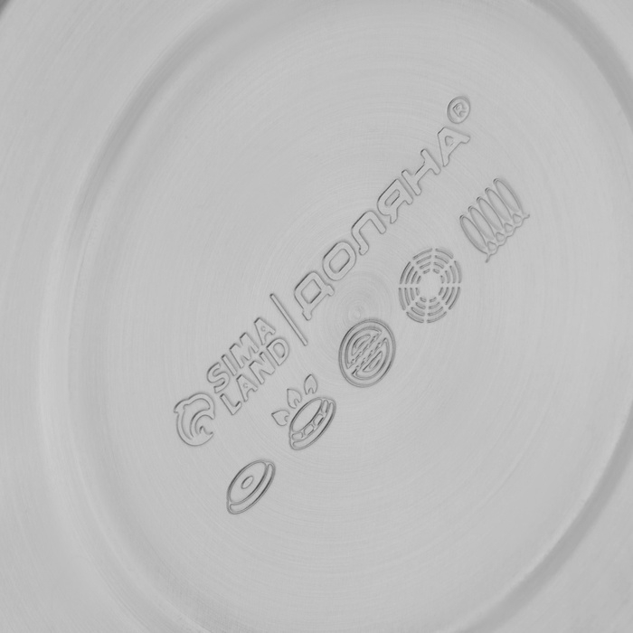 Чайник со свистком из нержавеющей стали Доляна «Волна», 2,8 л, с индикатором нагрева, фиксированная ручка