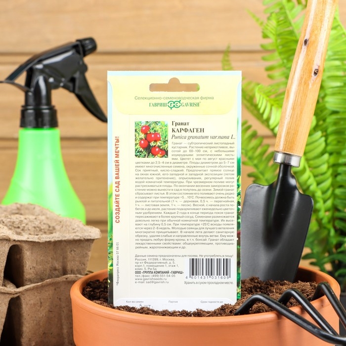 Семена комнатных цветов Гранат Семена комнатных цветов Гранат "Карфаген", 5 шт.