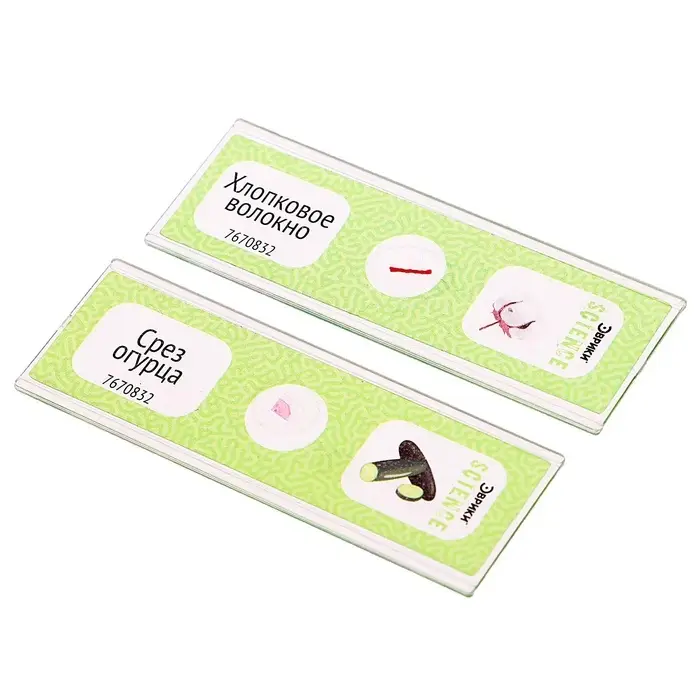 Набор для опытов &laquo;Набор микропрепаратов&raquo;, растения