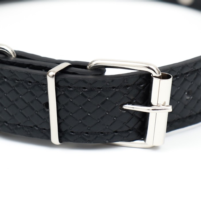 Ошейник рифленый Ошейник рифленый "Путешественник", 52,5 х 2,5 см, микс цветов