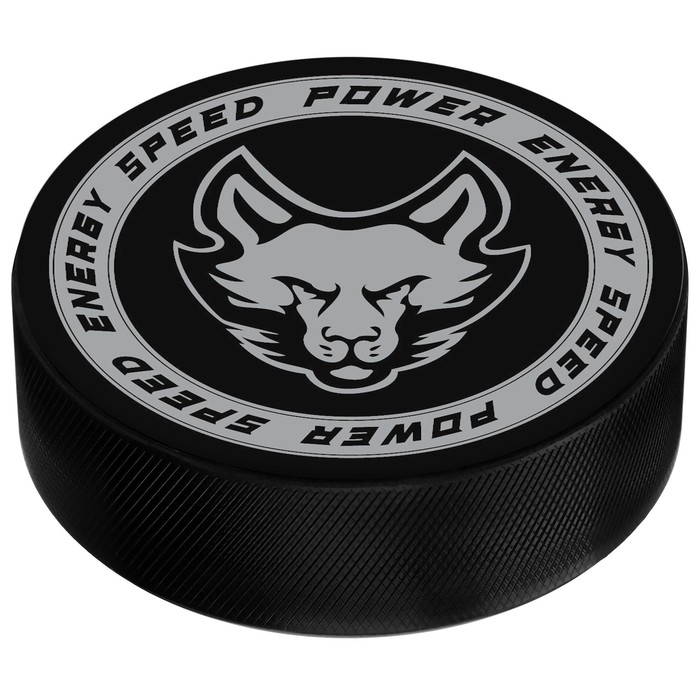 Шайба хоккейная Winter Star, взрослая, d=7,6 см Шайба хоккейная Winter Star, взрослая, d=7,6 см