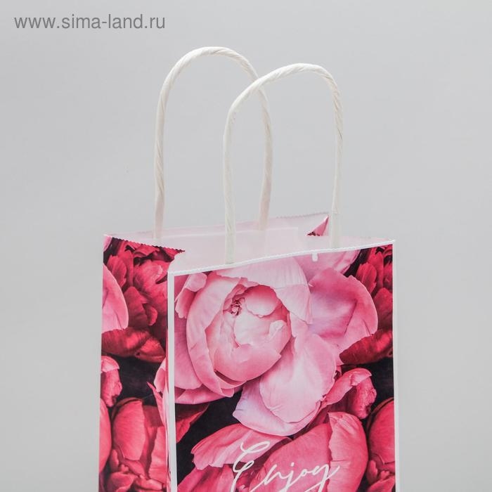 Пакет подарочный крафтовый, упаковка, «Enjoy», 12 х 21 х 9 см Пакет подарочный крафтовый, упаковка, «Enjoy», 12 х 21 х 9 см