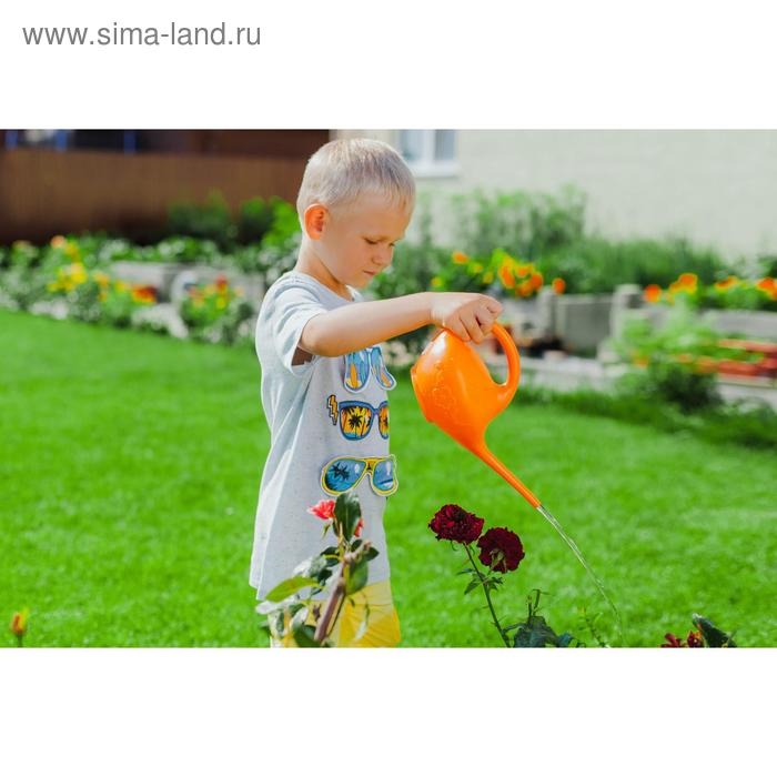 Лейка, 1 л, без рассеивателя, «Малютка», МИКС Лейка, 1 л, без рассеивателя, «Малютка», МИКС