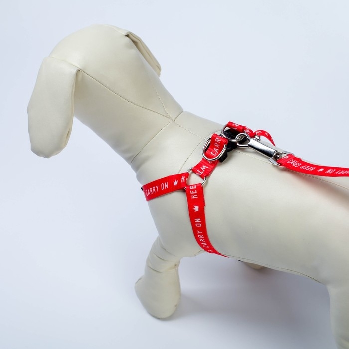 Комплект Keep calm & carry on, шлейка 36-49 см, поводок 120х1,5 см Комплект Keep calm & carry on, шлейка 36-49 см, поводок 120х1,5 см