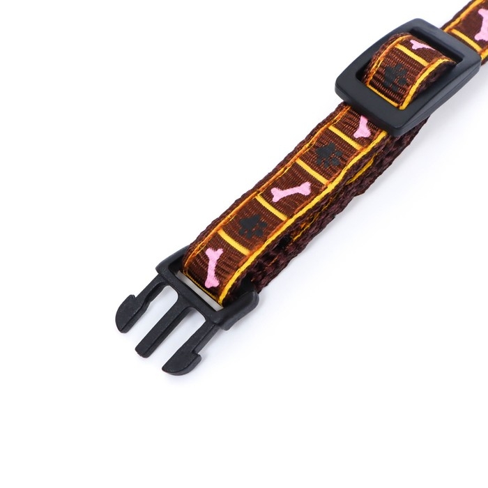 Ошейник двухслойный с фастексом Ошейник двухслойный с фастексом "Косточки и лапки", 30 х 1 см, коричневый