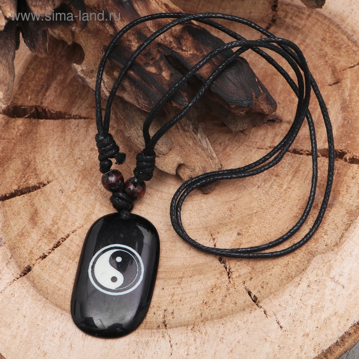 Кулон-оберег «Инь-Ян», цвет коричнево-чёрный на чёрном шнурке, 40-80 см Кулон-оберег «Инь-Ян», цвет коричнево-чёрный на чёрном шнурке, 40-80 см