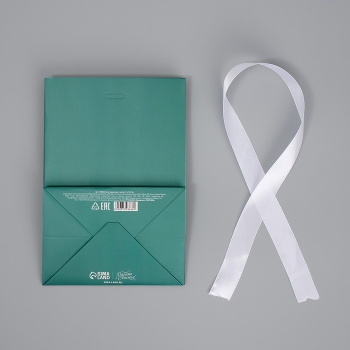 Пакет подарочный с лентой, упаковка, &laquo;Тиффани&raquo;, 13 х 19 х 9 см