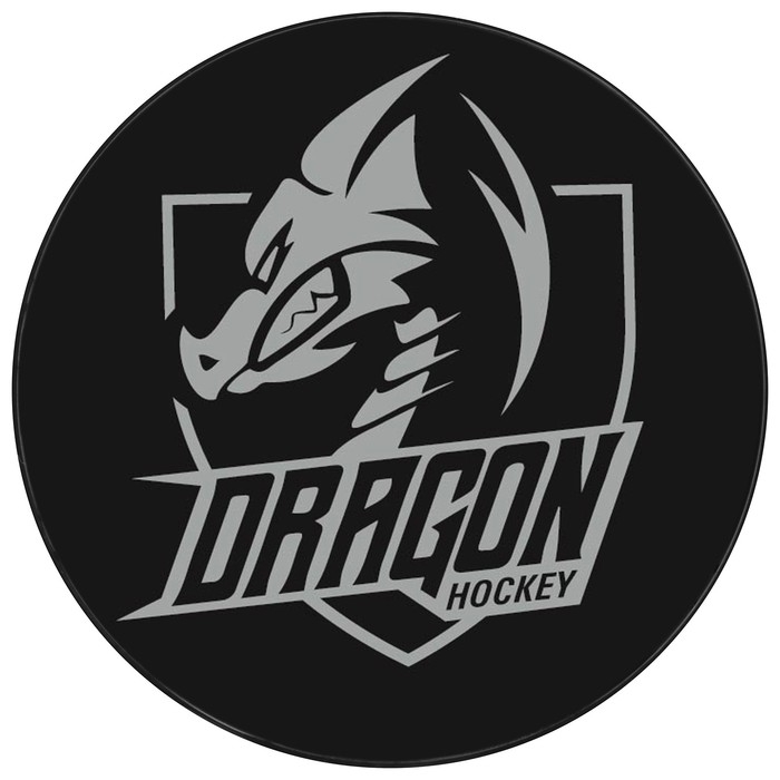 Шайба хоккейная Winter Star, детская, d=6 см Шайба хоккейная Winter Star, детская, d=6 см