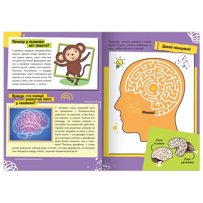 Набор обучающих книг «Как, зачем, почему?», 6 шт. Набор обучающих книг «Как, зачем, почему?», 6 шт.