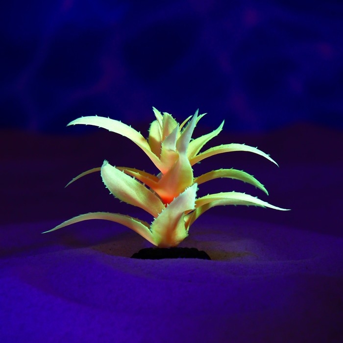 Растение искусственное аквариумное, светящееся, 10 см, красное Растение искусственное аквариумное, светящееся, 10 см, красное