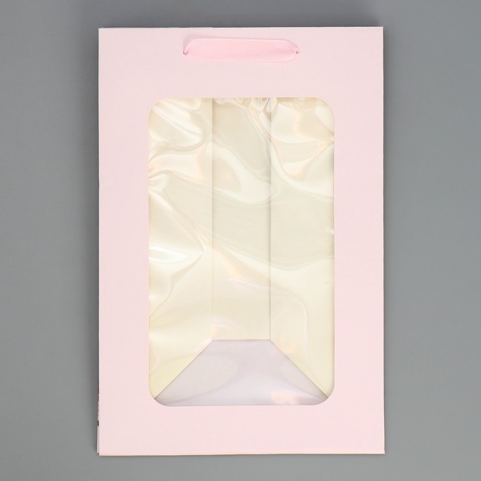 Пакет ламинированный «Подарок», 20 × 30 × 16 см