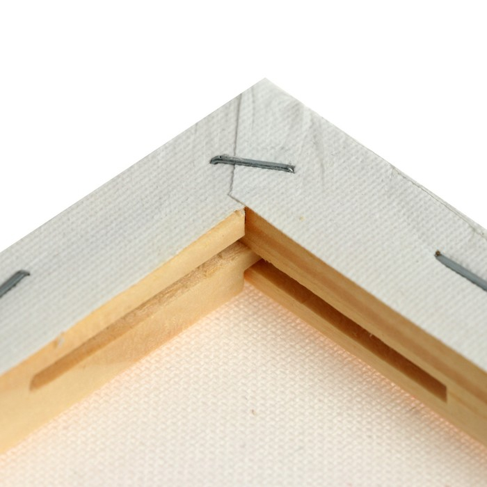 Холст на подрамнике, хлопок 100%, 50 х 50 х 1.8 см, акриловый грунт, мелкозернистый, 280 г/м² Холст на подрамнике, хлопок 100%, 50 х 50 х 1.8 см, акриловый грунт, мелкозернистый, 280 г/м²