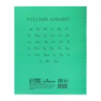 Тетрадь 18 листов в линию Calligrata "Зелёная", пластиковая обложка, с алфавитом, блок офсет