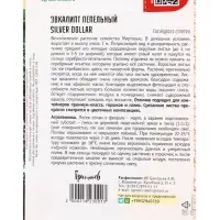 Семена Эвкалипт Silver Dollar пепельный   5шт.  12.29 г.