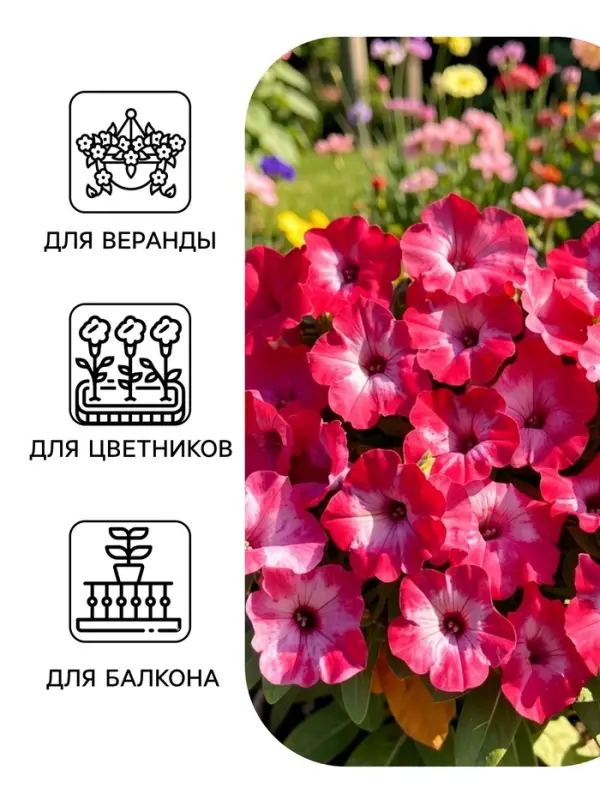 Семена цветов Петуния &laquo;Водопадия мраморная&raquo; F1, 5 шт., &laquo;АЭЛИТА&raquo;