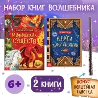Набор книг &laquo;Волшебник&raquo;, 2 шт. по 24 стр., волшебная палочка