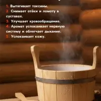 Веник для бани берёзовый, &laquo;Добропаровъ&raquo;