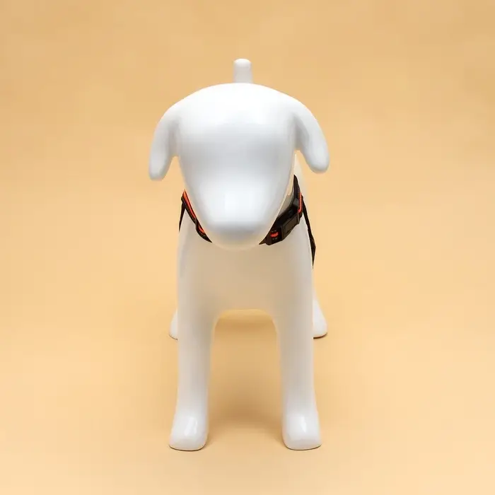 Шлейка улучшенная К7, размер S, ОГ 44-55 см, вес 5-9 кг, мягкая, светоотражающая, оранжевая