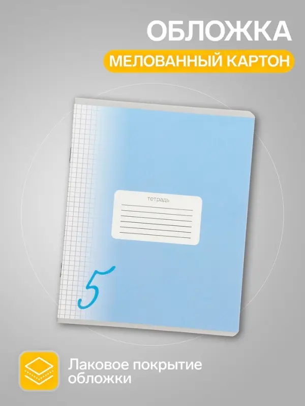 Тетради 10 штук, 24 листа в клетку Calligrata &laquo;Пятёрка&raquo;, обложка мелованный картон, ВД-лак, блок офсет, 5 видов по 2 штуки