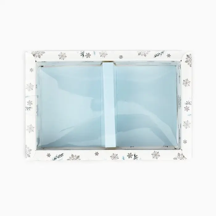 Коробка складная с пластиковой крышкой «Снежная ботаника», 16.5 х 11 х 4 см Коробка складная с пластиковой крышкой «Снежная ботаника», 16.5 х 11 х 4 см