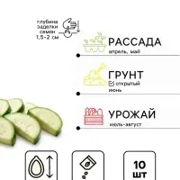 Семена Кабачок цуккини &laquo;Черный красавец&raquo;, &laquo;Аэлита&raquo;