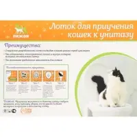 Туалет для приучения кошек к унитазу 39.2&times;38.7&times;3 см, белый