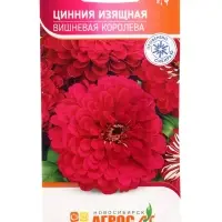 Семена Цинния &laquo;Изящная Вишневая Королева&raquo;, 0.5 г, &laquo;Агрос&raquo;