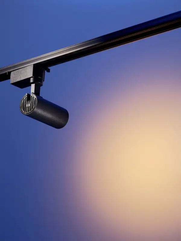 Трековый светильник Luazon lighting LTL-070, 10 Вт, 850 Лм, 3000К, чёрный, свечение тёплое белое
