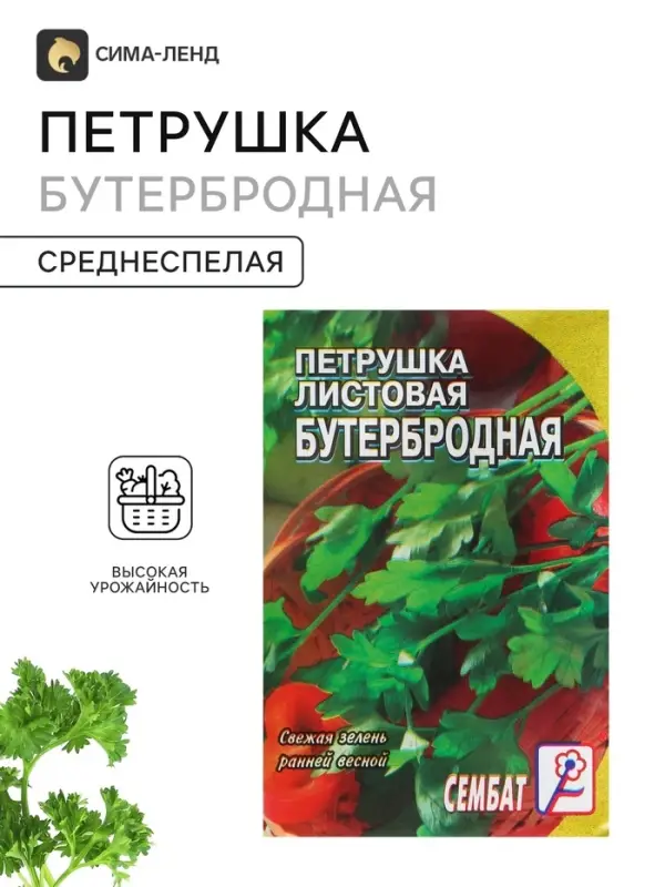Семена Петрушка &laquo;Бутербродная&raquo;, 3 г, &laquo;Сембат&raquo;