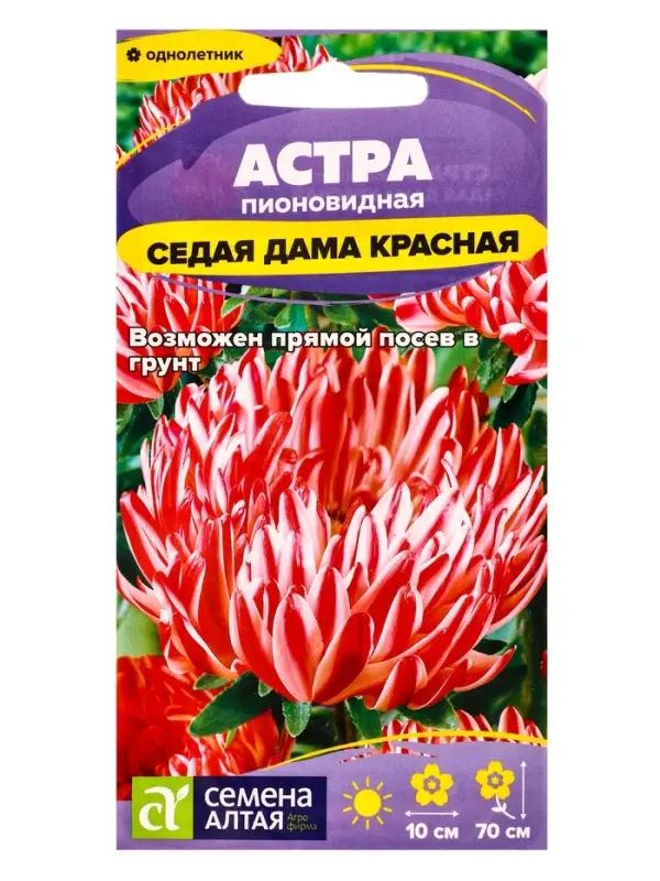 Семена цветов Астра &laquo;Седая Дама&raquo;, красная, 0.1 г, &laquo;Семена Алтая&raquo;