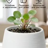 Горшок цветочный &laquo;Япония&raquo;, 450 мл, d=12 см, h=10 см, пластиковый, с поддоном, белый