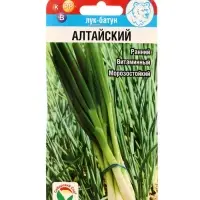 Семена Лук Батун &laquo;Алтайский&raquo; 0.5 г, &laquo;Сибирский сад&raquo;