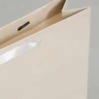 Пакет подарочный ламинированный горизонтальный &laquo;Молочный&raquo;, M 30&times;25.5&times;9 см