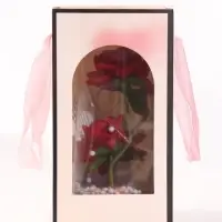 Фигурка с подсветкой &laquo;Розы в колбе&raquo; 11&times;11&times;21.5 см, 3хAAA, NL781