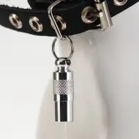 Адресник-капсула под записку, 0.9&times;2.75 см, фасовка 6 шт., металл, цвет МИКС