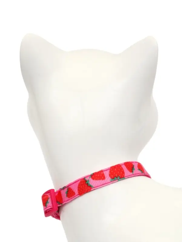 Набор ошейников для кошек &laquo;Фрукты&raquo;, 19-32&times;1 см, 4 шт.