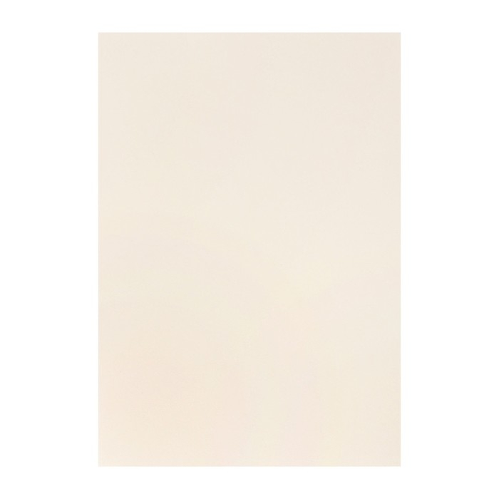 Бумага для пастели А4, 10 листов,  Бумага для пастели А4, 10 листов, "Архитектура", бумага слоновая кость, ГОЗНАК, тиснение "холст", блок 200 г/м2, в папке