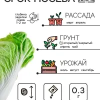 Семена Капуста пекинская "ЧА-ЧА", 0.3 г