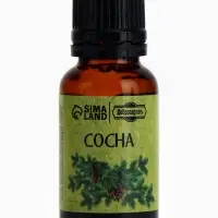 Набор эфирных масел эвкалипт, пихта, сосна, &laquo;Добропаровъ&raquo;, 3 шт. по 17 мл