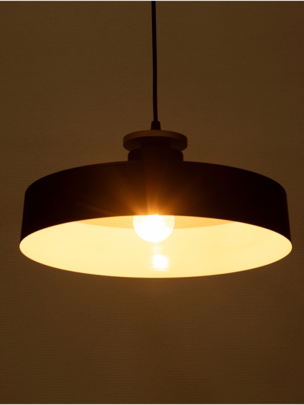 Светильник Timothy 1х40Вт Е27 пр-1м черный 32,5х32,5х12см