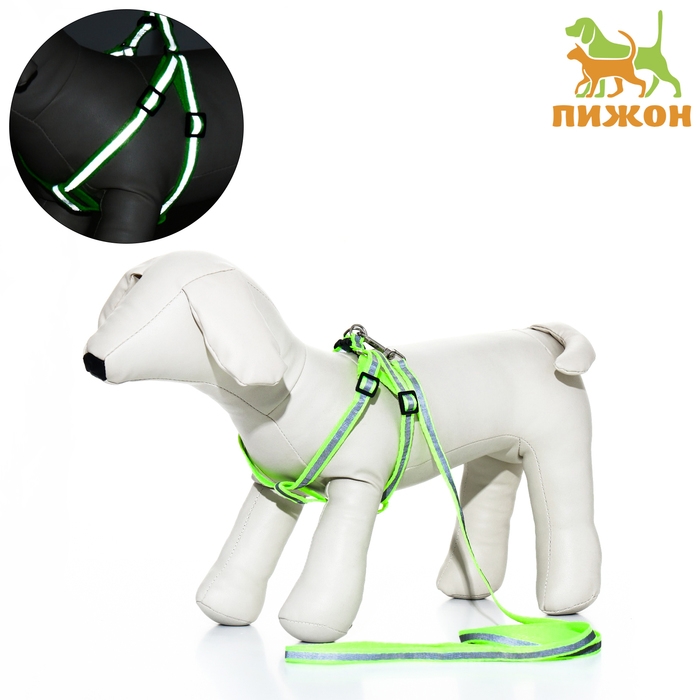 Комплект со светоотражающей лентой, ошейник 120 х 1 см, ОГ 26-40 см, зеленый Комплект со светоотражающей лентой, ошейник 120 х 1 см, ОГ 26-40 см, зеленый