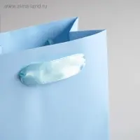 Пакет подарочный, упаковка «Голубой», 12×15×5.5 см